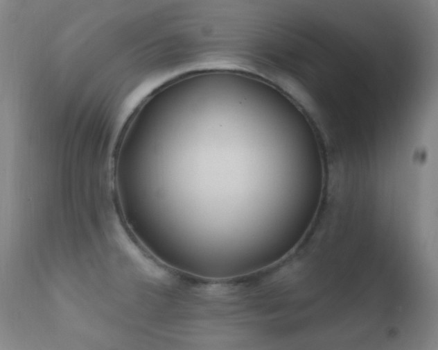 X0000112201380200908141423