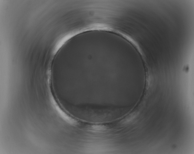 X0000112201383200908141423