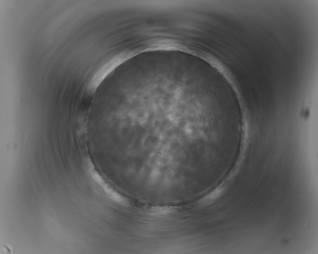 X0000112201385200908141423