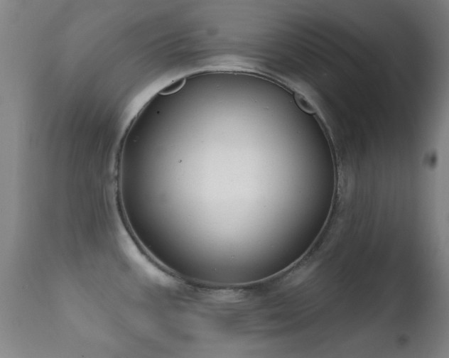 X0000112201387200908141423