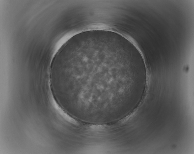 X0000112201389200908141423