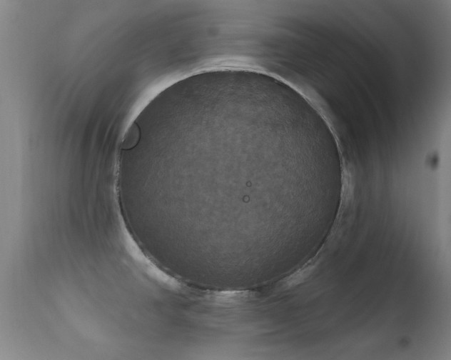 X0000112201390200908141423