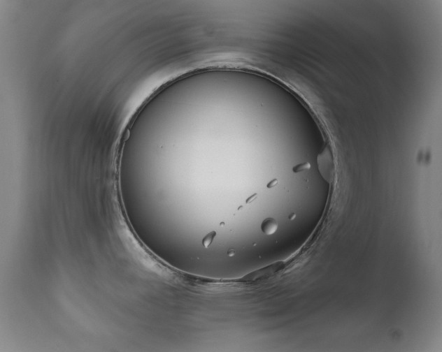 X0000112201392200908141423