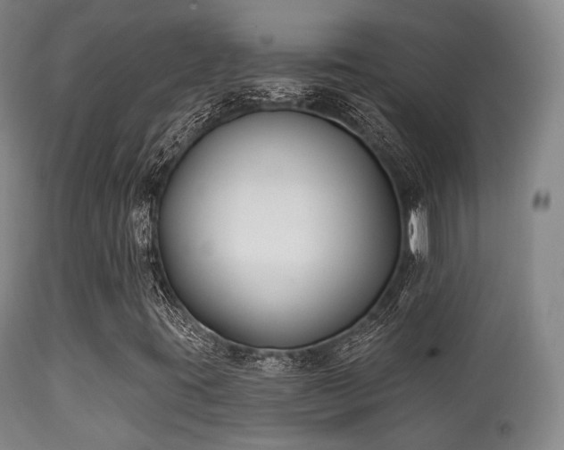 X0000112201395200908141423