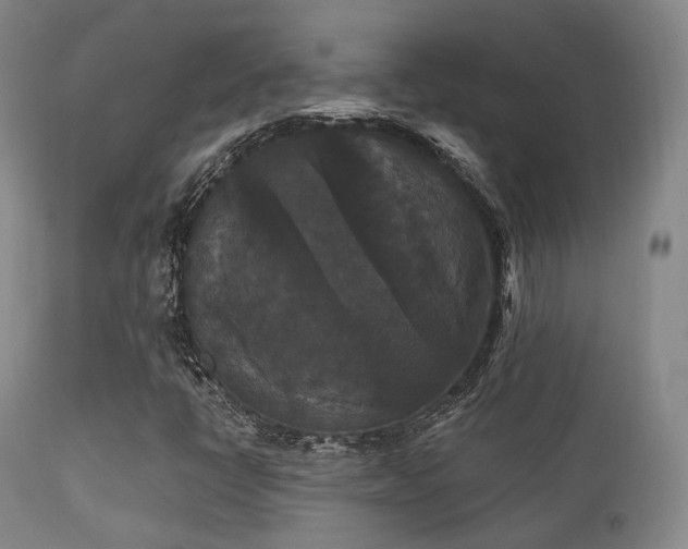 X0000112201398200908141423