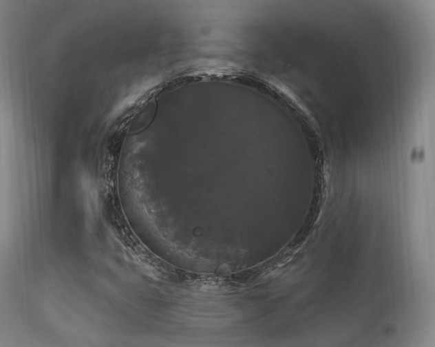 X0000112201399200908141423