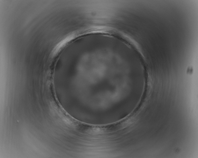 X0000112201411200908141423