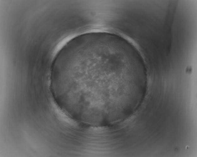 X0000112201415200908141423