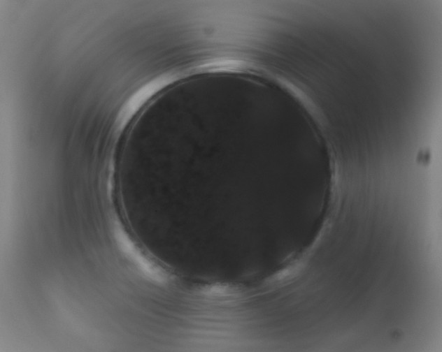 X0000112201418200908141423