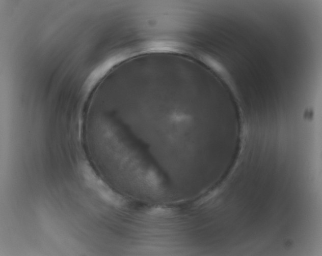 X0000112201419200908141423