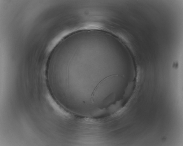 X0000112201422200908141423