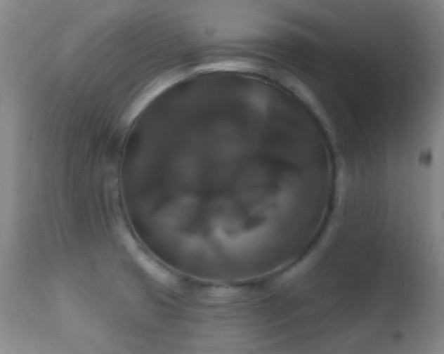 X0000112201425200908141423