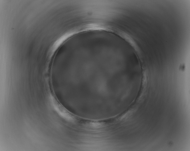 X0000112201427200908141423