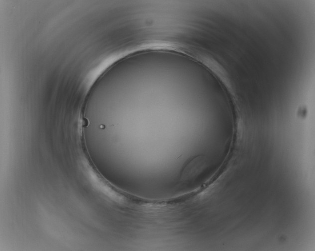 X0000112201428200908141423