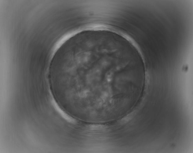 X0000112201429200908141423