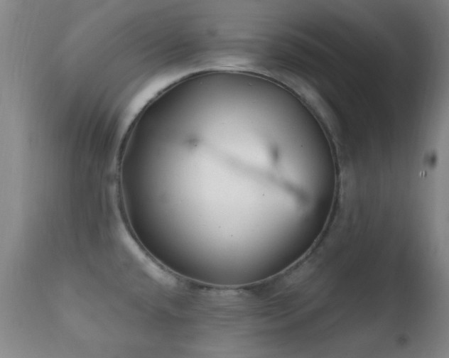 X0000112201432200908141423