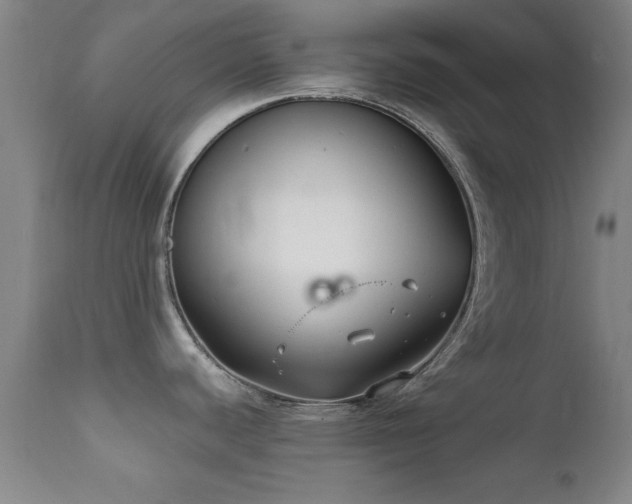 X0000112201440200908141423