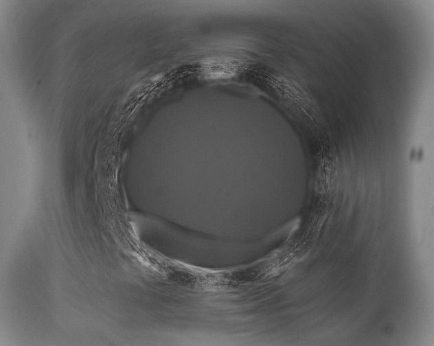 X0000112201441200908141423