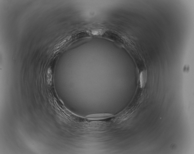 X0000112201443200908141422