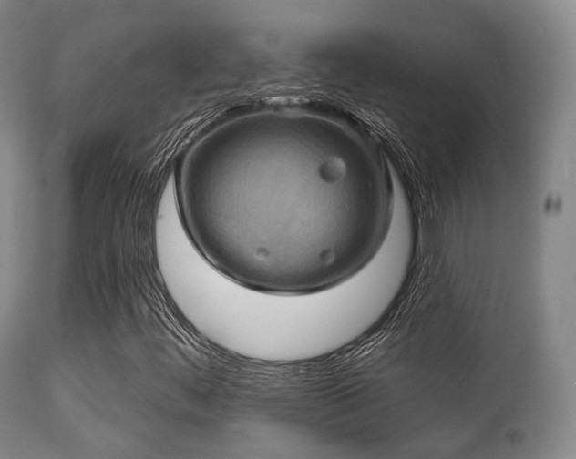 X0000112201444200908141422