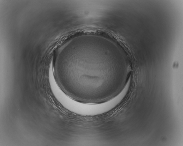 X0000112201445200908141422