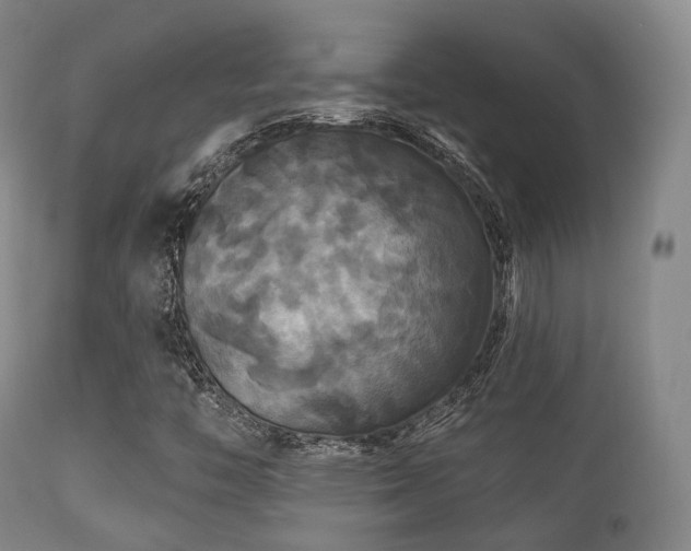 X0000112201446200908141422