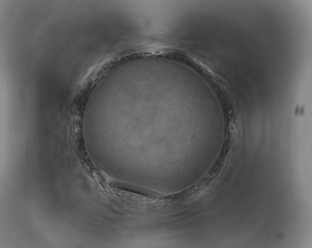 X0000112201447200908141422