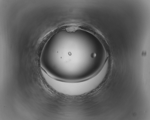 X0000112201448200908141422