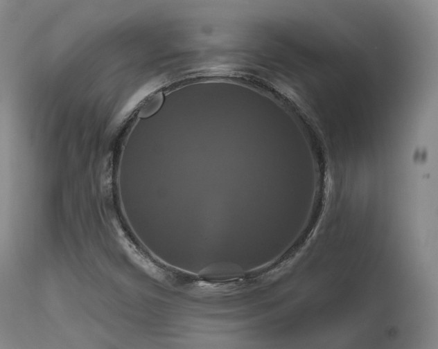 X0000112201450200908141422