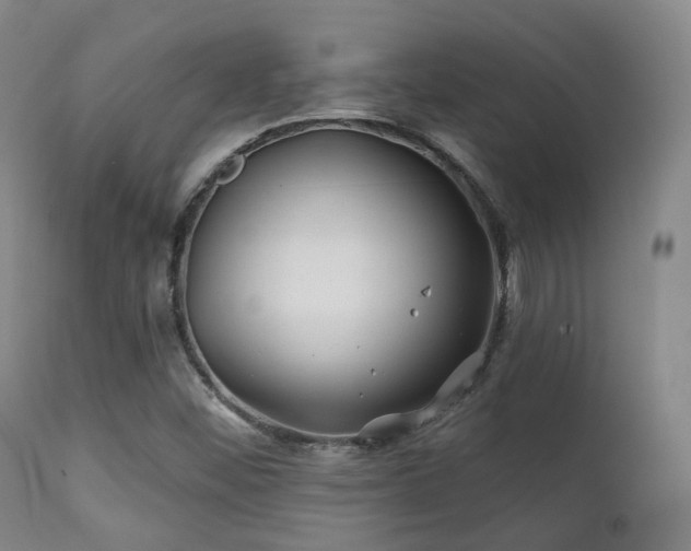 X0000112201452200908141422