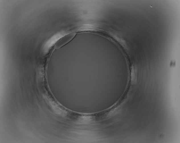 X0000112201453200908141422