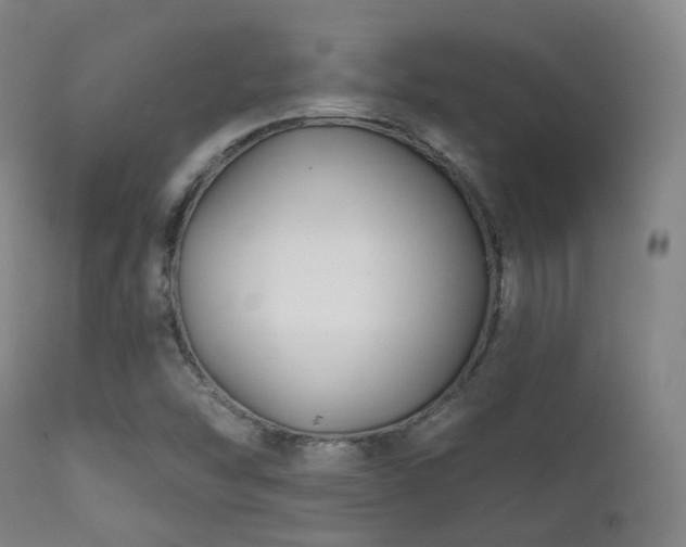 X0000112201454200908141422