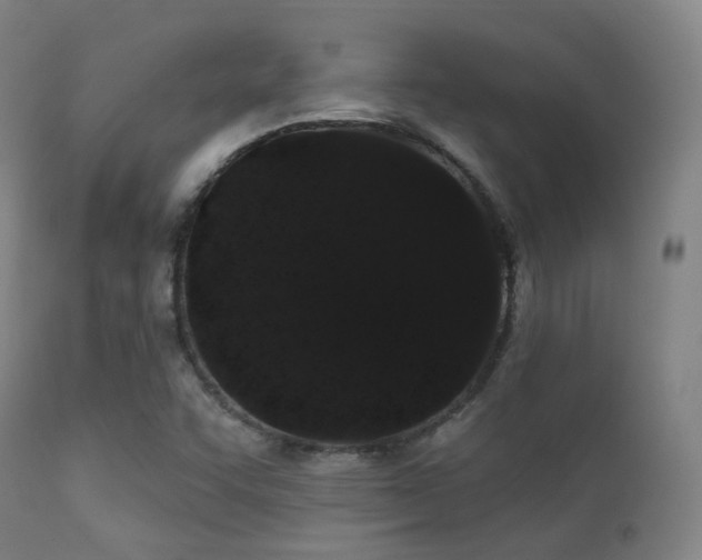 X0000112201455200908141422