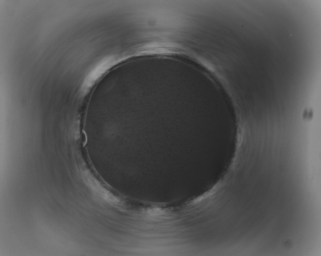 X0000112201459200908141422