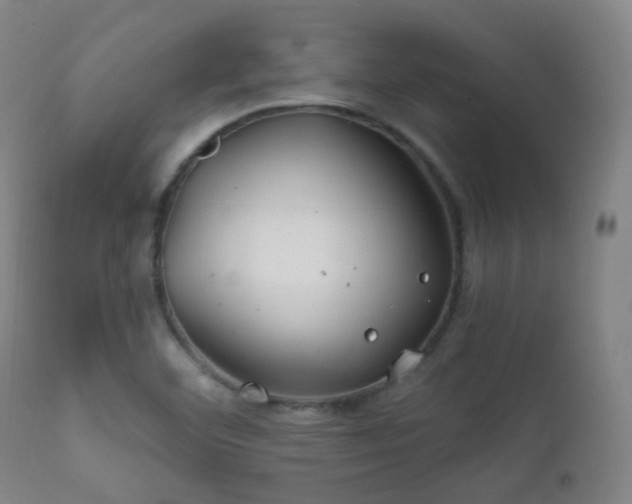 X0000112201460200908141422