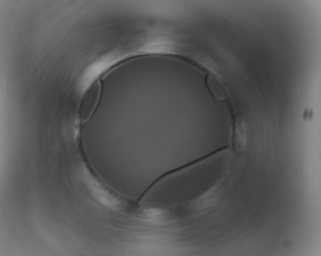 X0000112201461200908141422