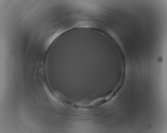 X0000112201465200908141422