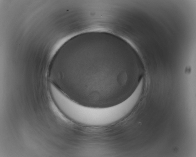 X0000112201468200908141422