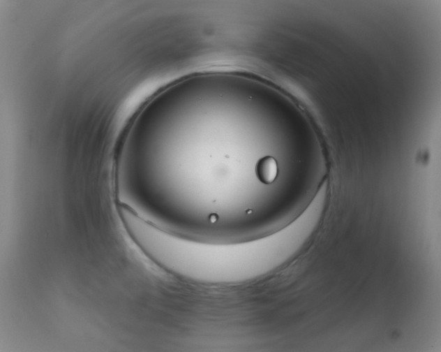 X0000112201472200908141422