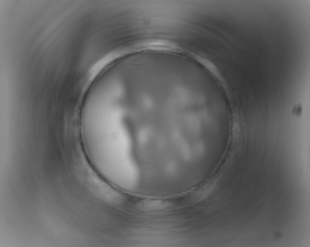 X0000112201474200908141422