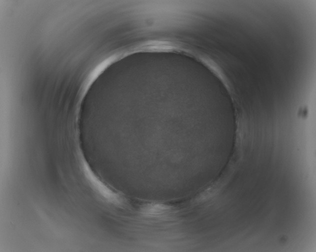X0000112201475200908141422