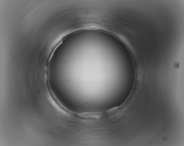 X0000112201476200908141422