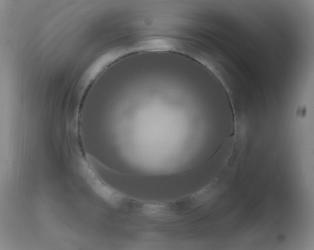 X0000112201477200908141422