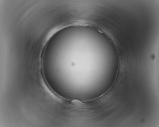 X0000112201479200908141422
