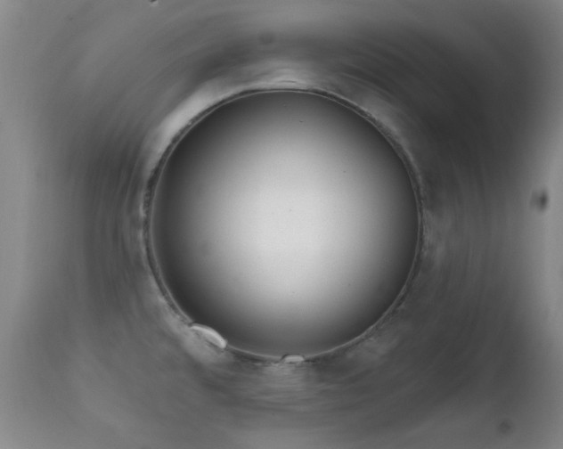 X0000112201480200908141422
