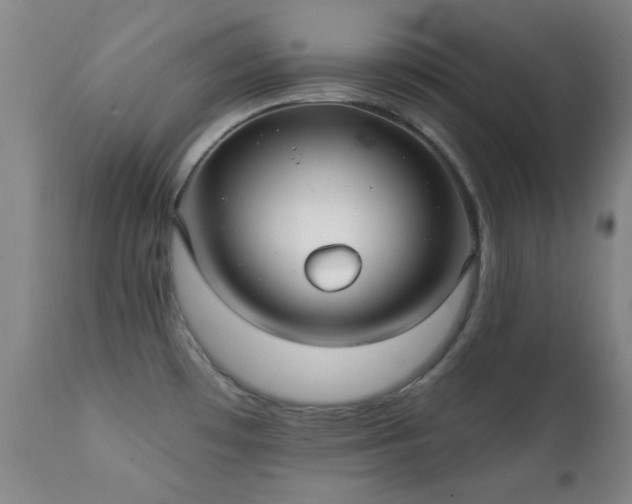 X0000112201481200908141422