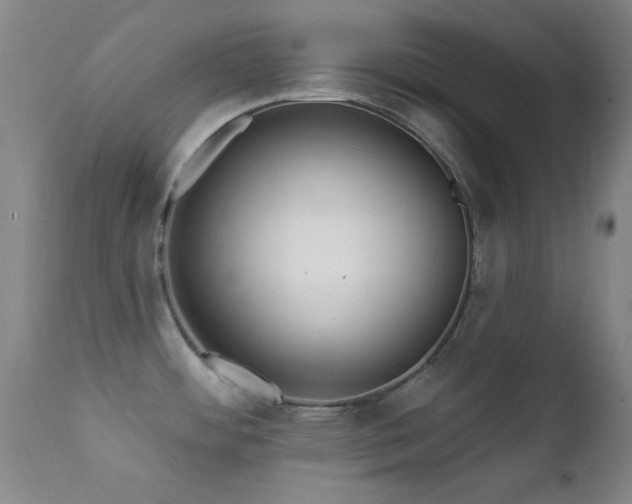 X0000112201484200908141422