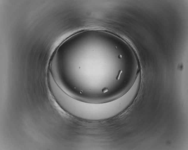 X0000112201485200908141422