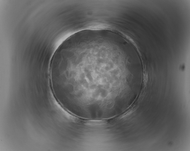 X0000112201487200908141422