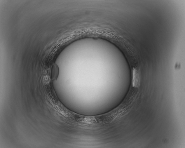X0000112201491200908141421